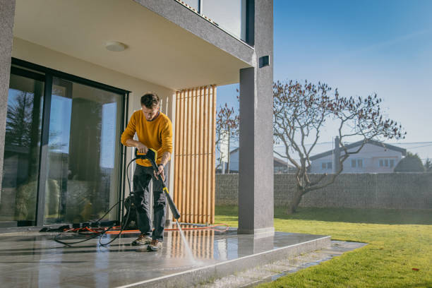 Best Solar Panel Cleaning  in Holly Hill, SC