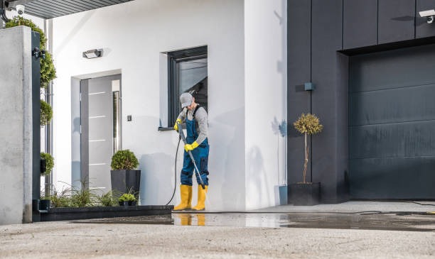Best Soft Washing  in Holly Hill, SC